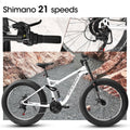 26 in Mountain Bike for Men, 26*4" Fat Tire Mountain Bicycles, Full - Suspension 21 - Speed Drivetrain with Disc Brakes